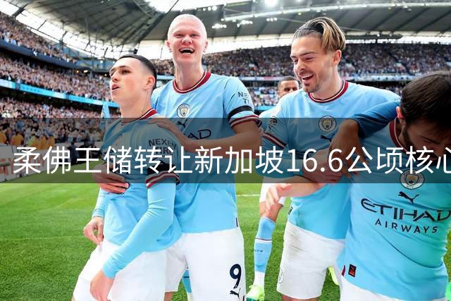 柔佛王储转让新加坡16.6公顷核心地块 或面临高额土地增值税